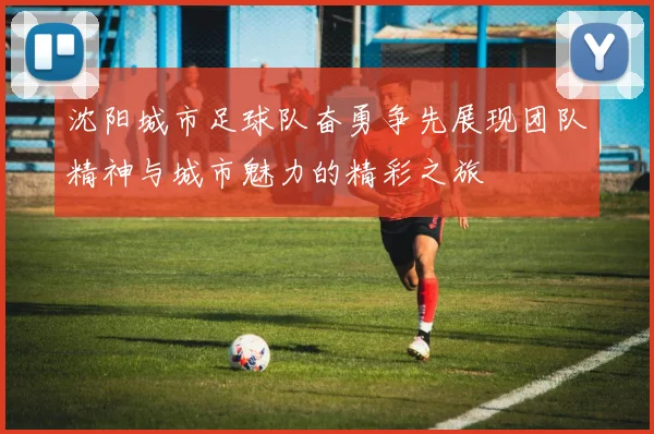 沈阳城市足球队奋勇争先展现团队精神与城市魅力的精彩之旅