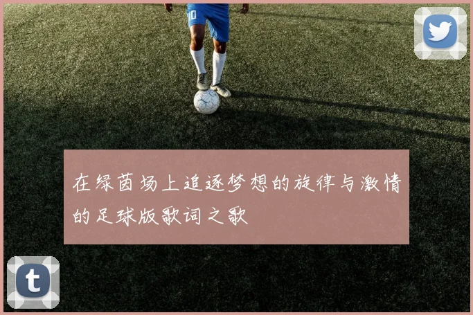 在绿茵场上追逐梦想的旋律与激情的足球版歌词之歌