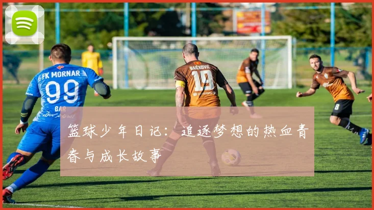 篮球少年日记：追逐梦想的热血青春与成长故事