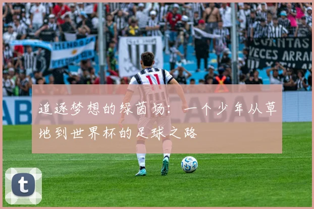 追逐梦想的绿茵场：一个少年从草地到世界杯的足球之路