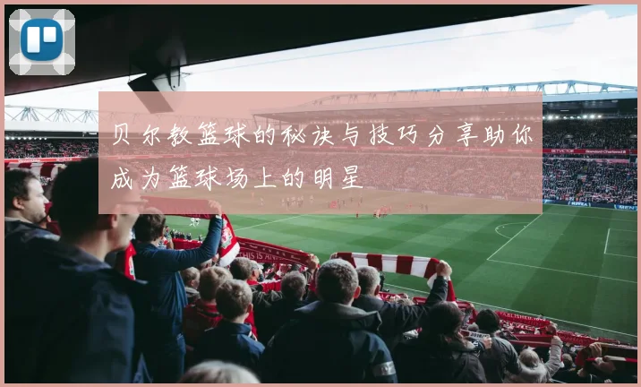 贝尔教篮球的秘诀与技巧分享助你成为篮球场上的明星