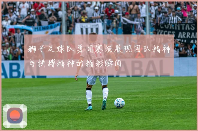 狮子足球队勇闯赛场展现团队精神与拼搏精神的精彩瞬间