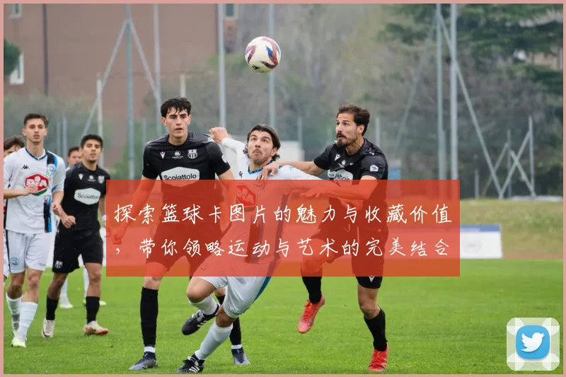 探索篮球卡图片的魅力与收藏价值，带你领略运动与艺术的完美结合