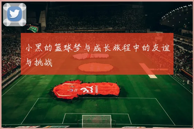 小黑的篮球梦与成长旅程中的友谊与挑战