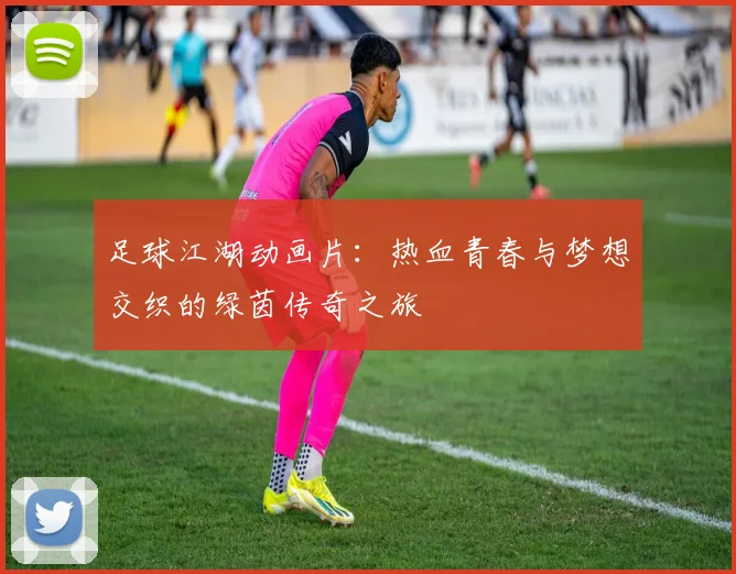 足球江湖动画片：热血青春与梦想交织的绿茵传奇之旅