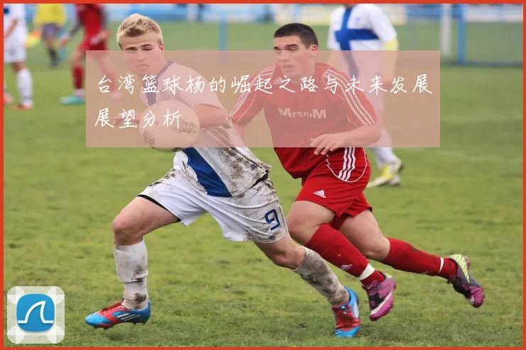 台湾篮球杨的崛起之路与未来发展展望分析